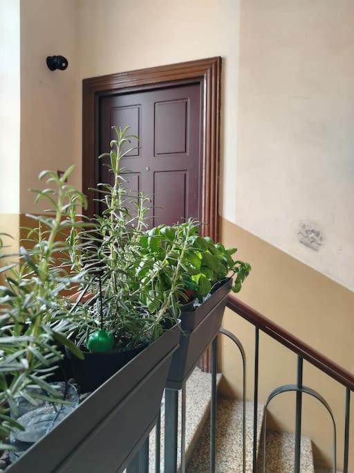 Bnb Citylifers Milan Exterior photo